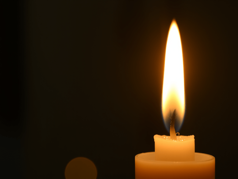 Accelerate Your Exploitation – The Burnout&nbsp;Society